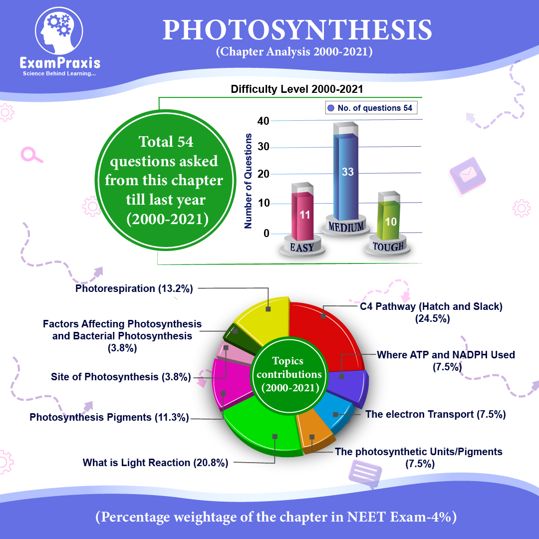photosynthesis in higher plants